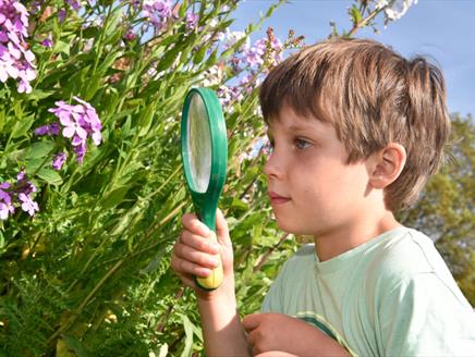 A child looking at purple flowers through a magnifying glass