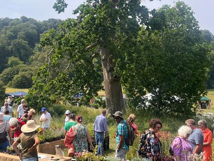 Plants Fair at Gilbert White's House & Gardens