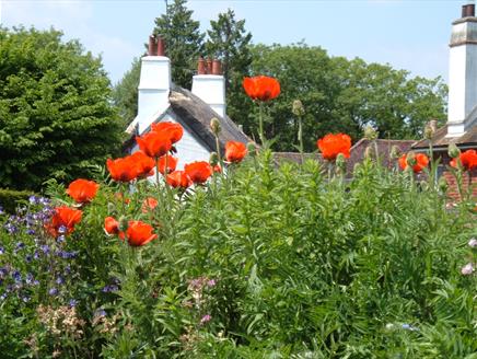 Creating a Cottage Garden at Gilbert White's House