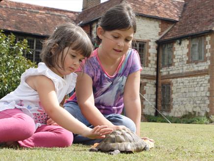 Two children in front of the house with a tortoise