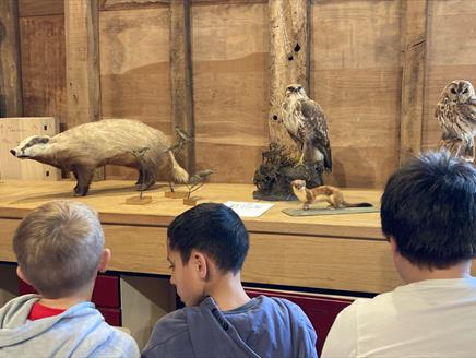 Three children sketching animal specimens