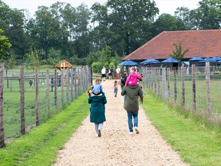 Half Term Family Fun at Sky Park Farm