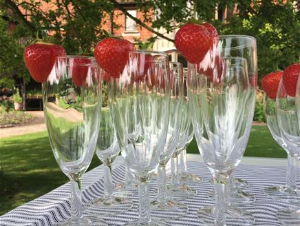 Hampshire Fizz