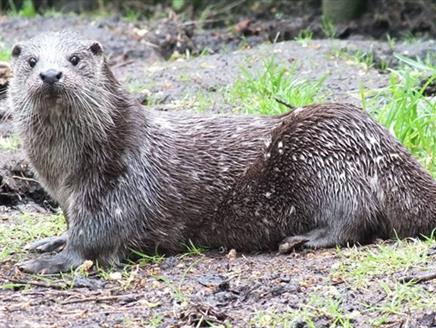 Love your Wildlife Park at New Forest Wildlife Park