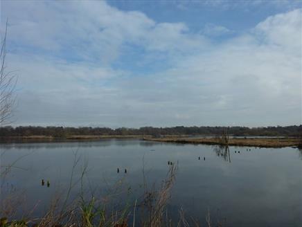 Fleet Pond