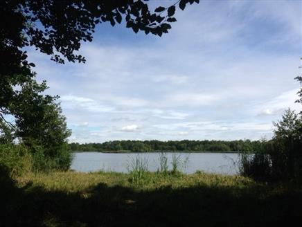 Fleet Pond Circular Walks