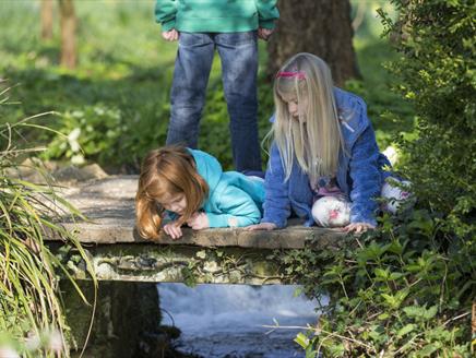 May Half Term at Mottisfont: Garden Detectives