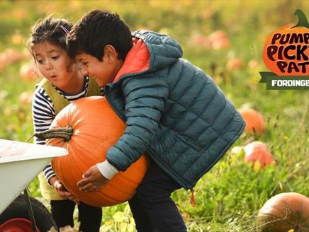 Pumpkin Picking Patch Fordingbridge