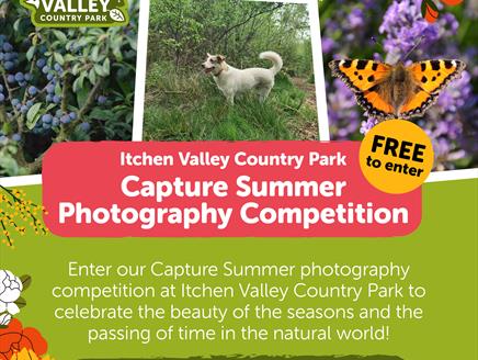 Capture Summer Photography Competition at Itchen Valley Country Park