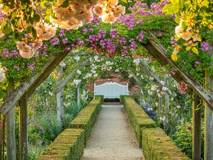 Rose season at Mottisfont