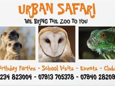 Urban Safari