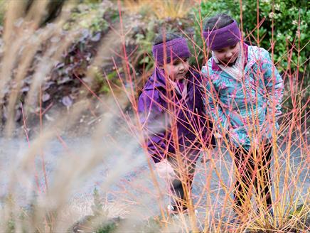 February Half Term: Giddy Gallops at Mottisfont