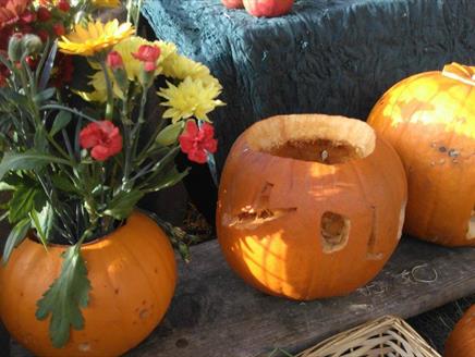 Half Term Farm Open Days at Miller's Ark Animals