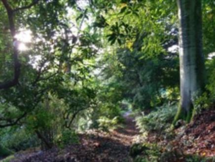 Trees in Winter Special Plant Walk at Sir Harold Hillier Gardens