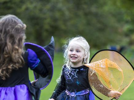 Two girls aged around six stand on grass looking at each other wearing witch Halloween costumes.