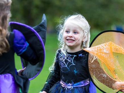 Witch's Halloween recipe trail at The Vyne