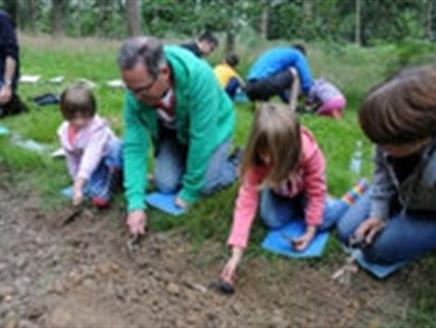 Family Archaeology – Saxons at Sir Harold Hillier Gardens