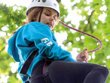 Climb a Tree at Sir Harold Hillier Gardens