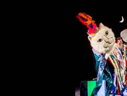 Moonbeam on a Cat's Ear at NST City