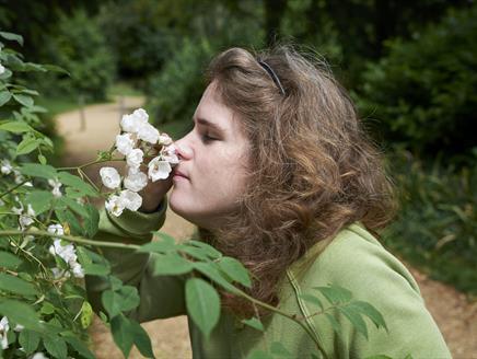 Inclusive sensory trail at The Vyne