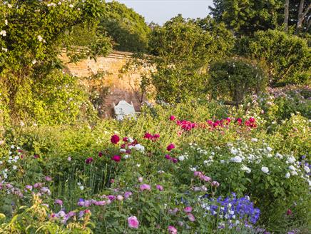 Rose Season at Mottisfont