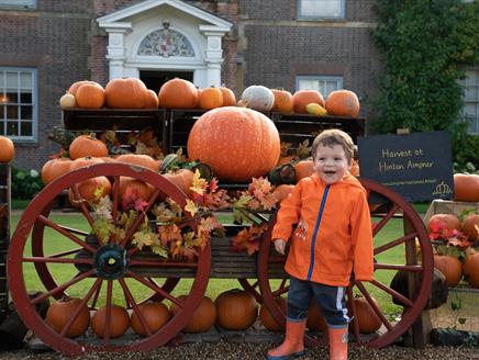 Pumpkin displays at Hinton Ampner