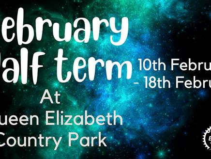 February half term at Queen Elizabeth Country Park