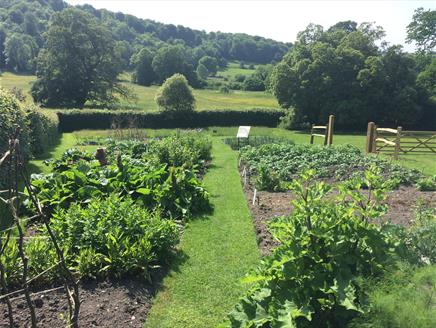 Summer Kitchen Garden Course