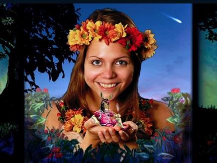A Midsummer Nights Dream