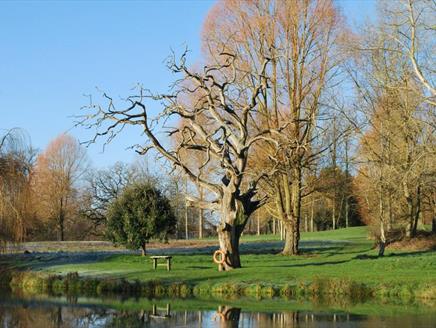 Holbury Lane Trout Fishery