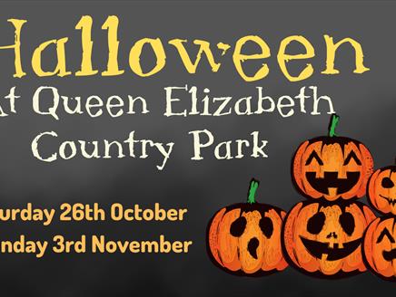 Halloween at QECP