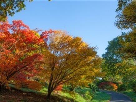 Gardener's Breakfast at Sir Harold Hillier Gardens