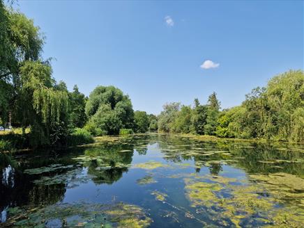 Charlton Lakes