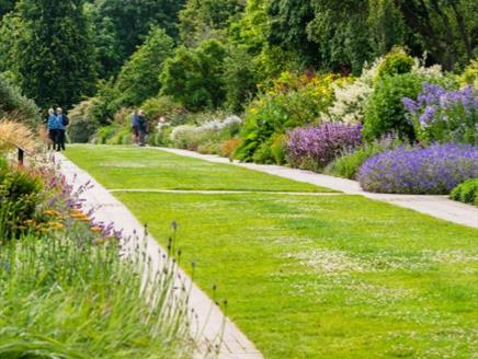 Perennial Borders Masterclass at Sir Harold Hillier Gardens