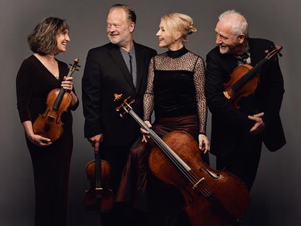 A group of musicians holding string instruments smile at each other.
