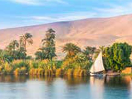 Egyptian Trees - Guided Tour at Sir Harold Hillier Gardens