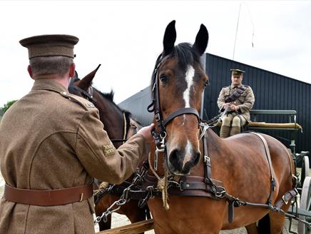 Horses and Wagons at The Royal Logistic Corps Museum