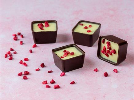 Luxury Christmas Chocolate Making - Workshop at Sir Harold Hillier Gardens