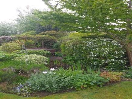 Fordingbridge Open Gardens