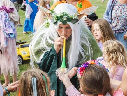 The New Forest Fairy Festival