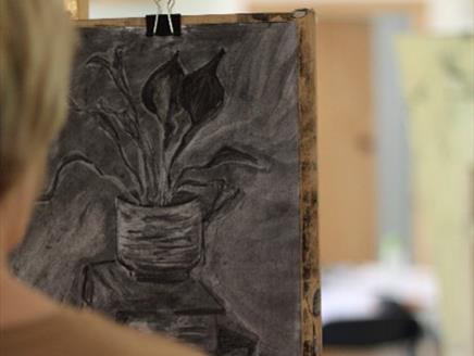 Drawing for the Absolute Beginner at Sir Harold Hillier Gardens