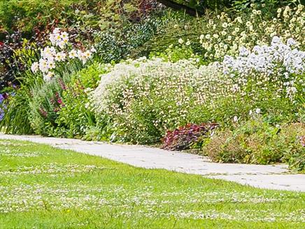 Masterclass: Perennial Borders at Sir Harold Hillier Gardens