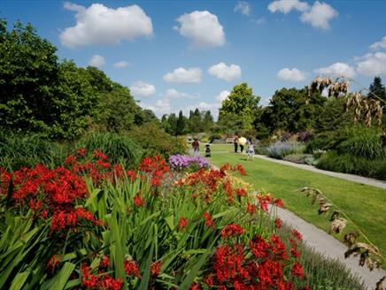 Summer Evening Garden Tour at Sir Harold Hillier Gardens
