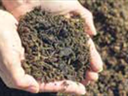 Composting and Mulching Class at Sir Harold Hillier Gardens