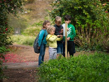 Garden I Spy at Sir Harold Hillier Gardens