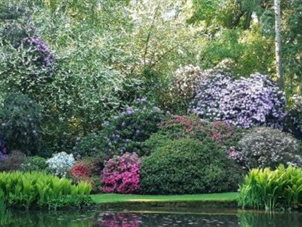 Longstock Park Water Gardens Open