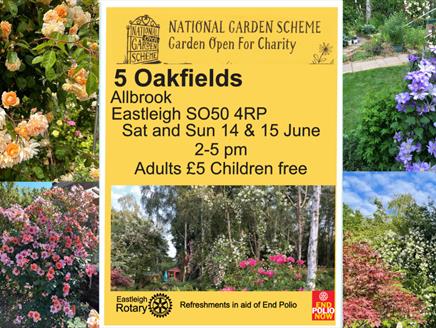NGS Open Garden: 5 Oakfields, Eastleigh