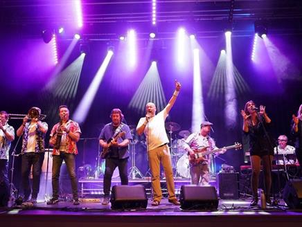 Photograph showing tribute band No Jacket Required live in concert