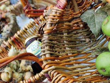 Frame Basket Making at Sir Harold Hillier Gardens