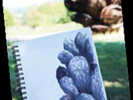 Walk, Talk and Draw